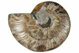 Cut & Polished Ammonite Fossil (Half) - Crystal Filled Chambers #191674-1